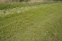 #5: The confluence point is in this field, just inside a hedge, next to an intersection of two dirt roads