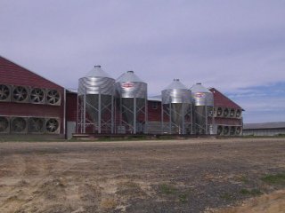 #1: Chicken house (confluence point is 400 yards beyond)