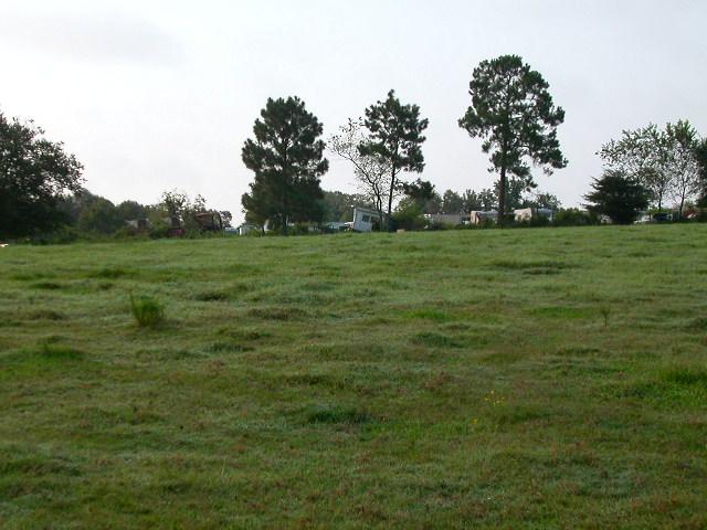 Looking southeast (towards the scrap yard)