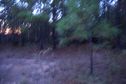#5: View West