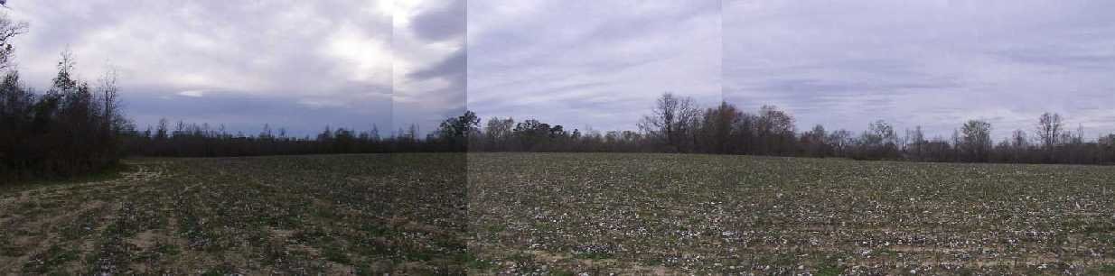 Panorama from south to northwest from the point