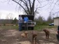 #2: Dad and land owner with dogs in foreground