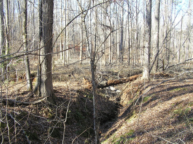 Site of 33 North 84 West.  The confluence is just to the right of the log spanning the ravine.