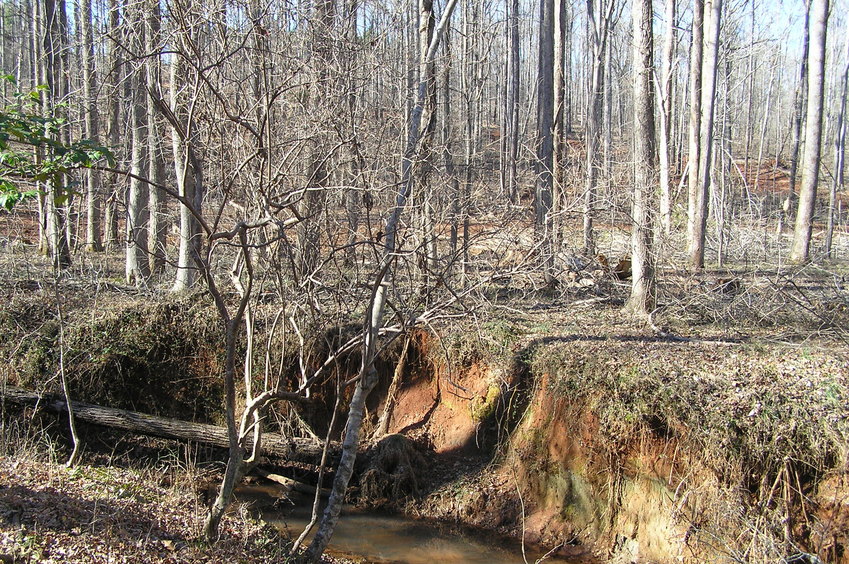 View to the north-northwest from the confluence.