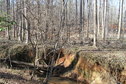 #9: View to the north-northwest from the confluence.