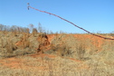 #8: View to the north-northwest from the confluence.