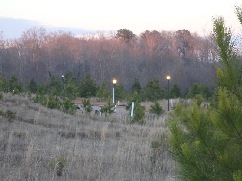 Lights on in the wilderness