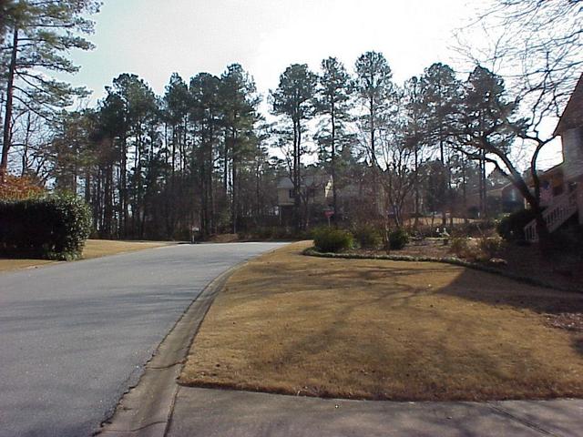 View to the south from 5 meters east of the confluence.