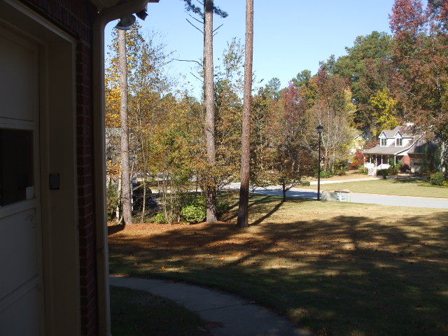 View North