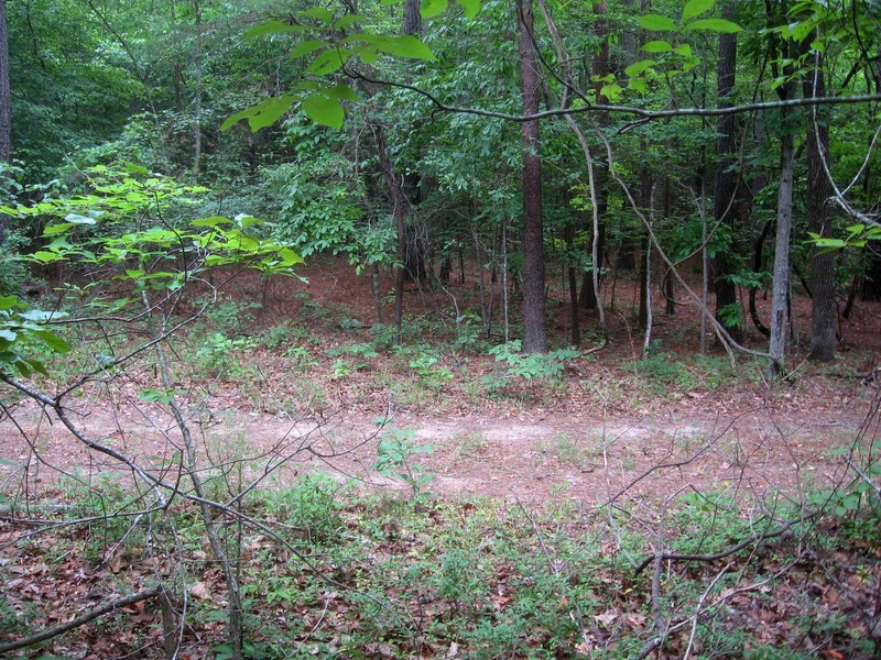 The road/trail is but 20 yards north of the confluence.