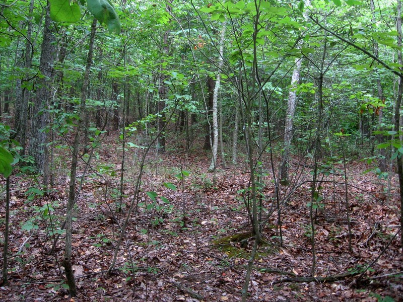 The view to the south.