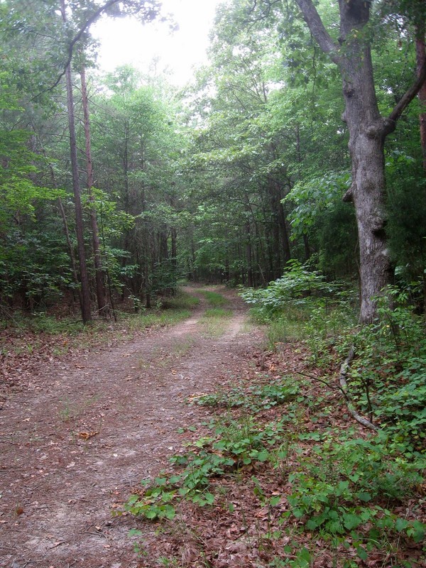 It is an easy walk from the tracks to the confluence down this road/trail.