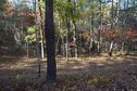 #2: View North (towards the nearby doubletrack path)