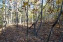 #3: View East