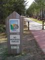 #9: Nearby Silver Comet Trail runs from Dallas GA to Downtown Rockmart