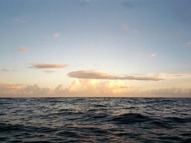 North