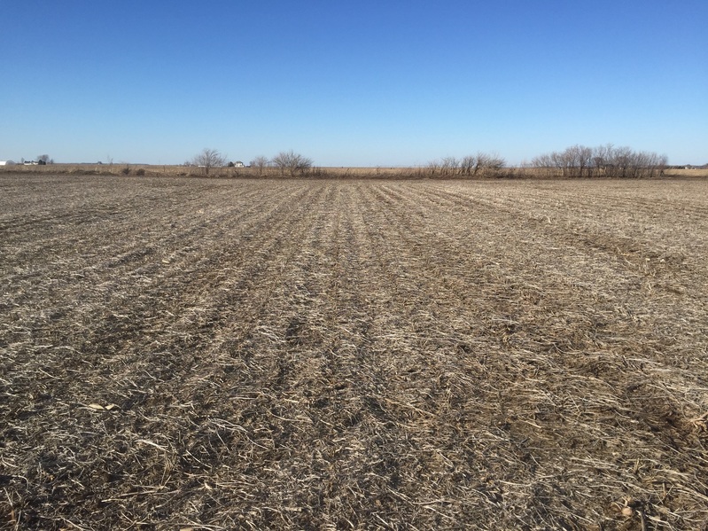 Site of 41 North 91 West, in foreground, looking north-northwest.