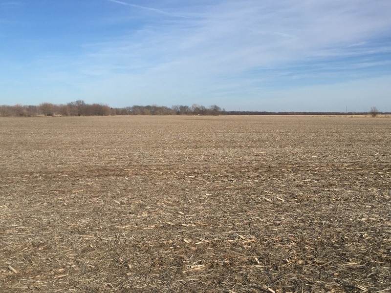 View to the east from the confluence.