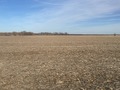 #5: View to the east from the confluence.