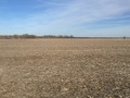 #5: View to the east from the confluence.