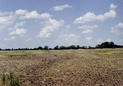 #2: Approaching the confluence from the west.