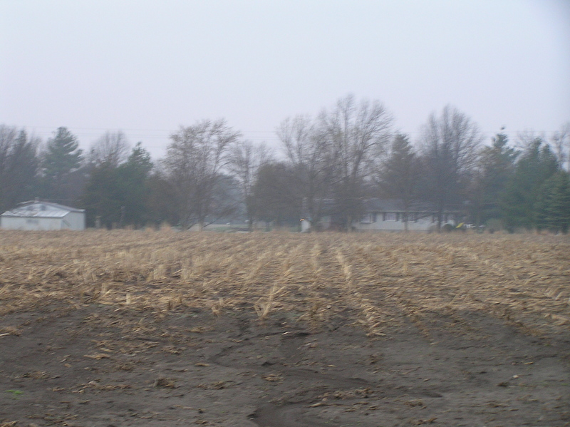 Misty view to the west from the confluence.