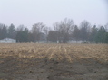 #6: Misty view to the west from the confluence.