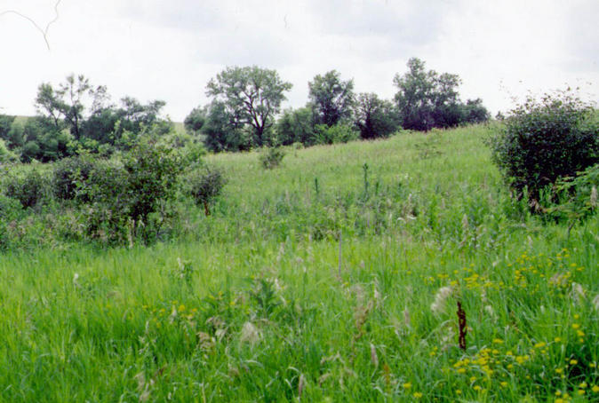 View to the north at the confluence