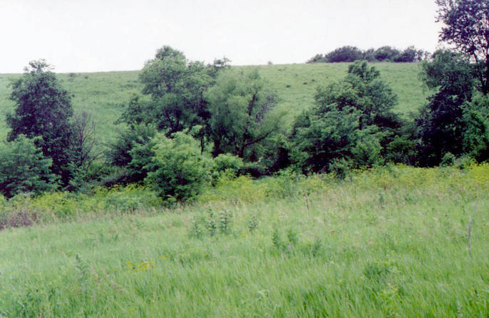 View to the west from the confluence.