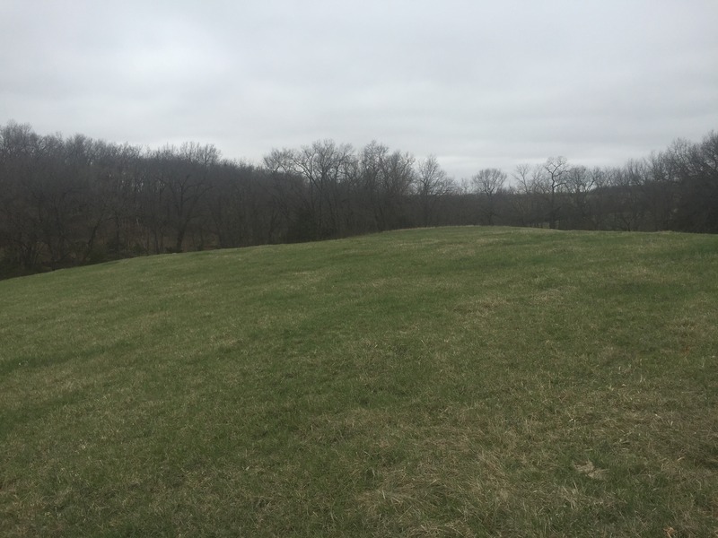 View of the confluence of 41 North 94 West, in the foreground, looking west-southwest.