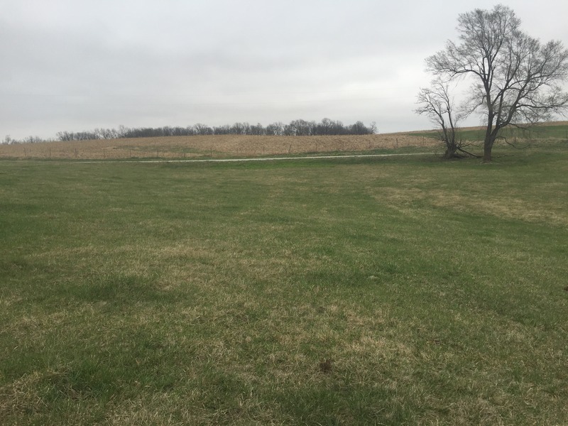 View to the east from the confluence.