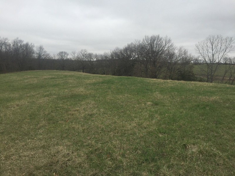 View to the west from the confluence.