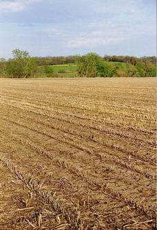 #1: Facing Southeast from the confluence