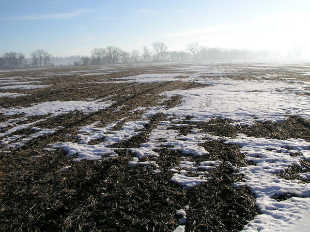 Looking east towards Nodaway River from 41N 95W.