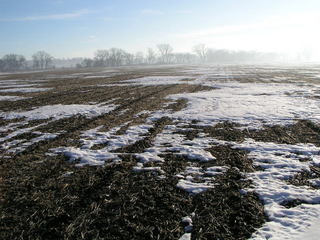 #1: Looking east towards Nodaway River from 41N 95W.