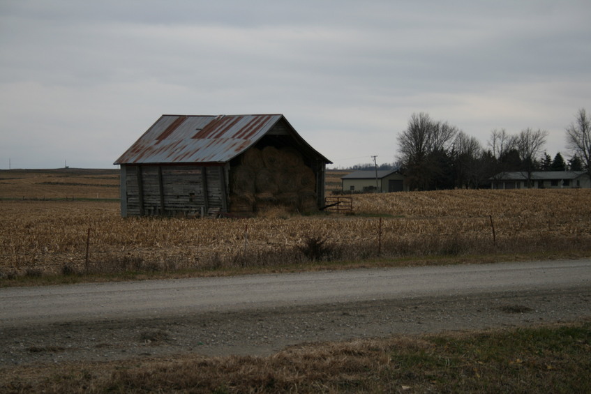 Stored Bales West of CP