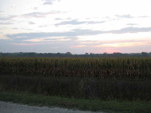#1: View ENE toward the confluence in this cornfield under the rising sun