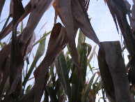 #2: View to the north and up