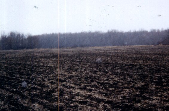 Looking west from the site