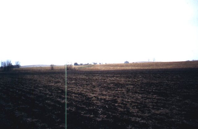 Another view