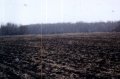 #4: Looking west from the site