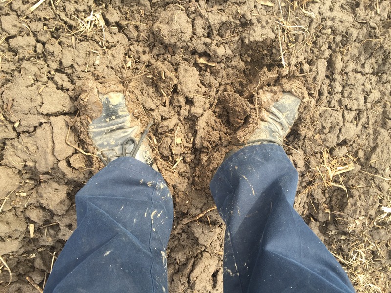 Muddy shoes at the confluence point.