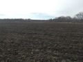 #7: View to the south from the confluence.