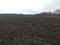 #7: View to the south from the confluence.