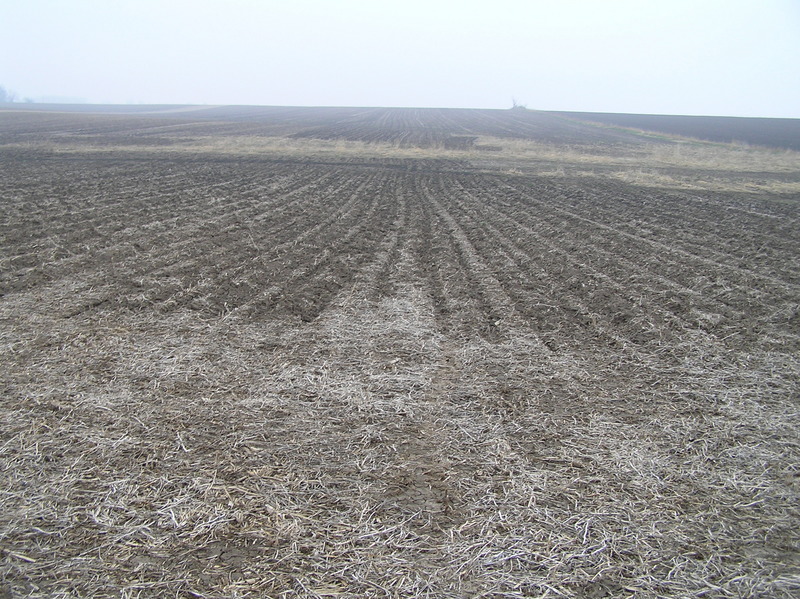 View to the north from the confluence.