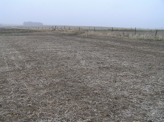 #1: The confluence of 42 North 92 West, in the foreground, looking southeast at the junction of the four fences.