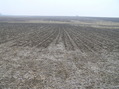 #6: View to the north from the confluence.