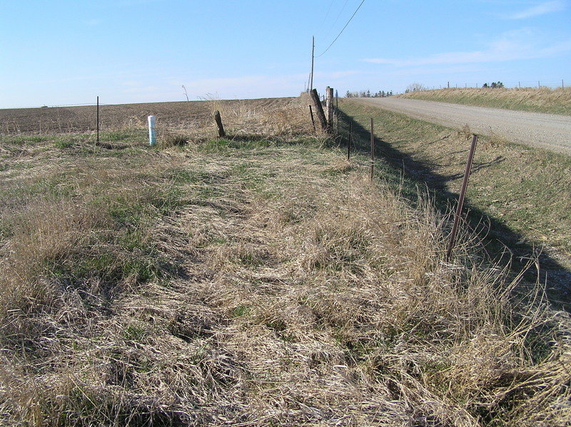 View to the north from the confluence.