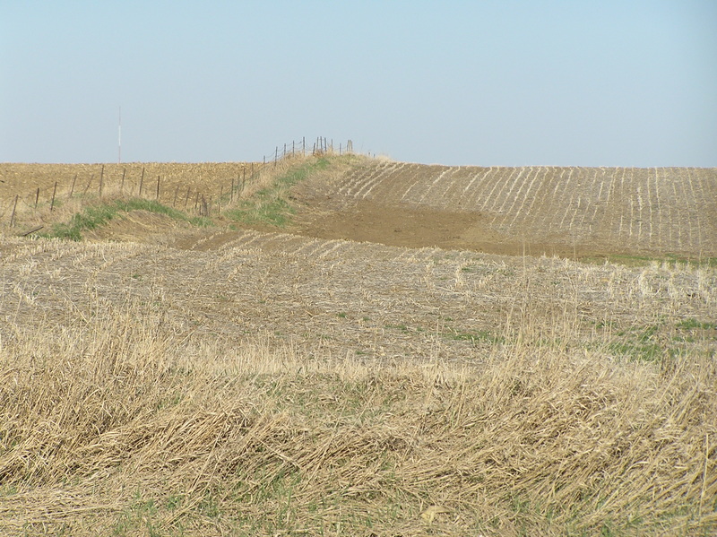 View to the east from the confluence.