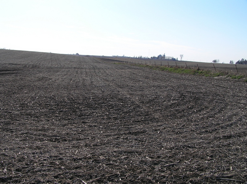 View to the west from the confluence.